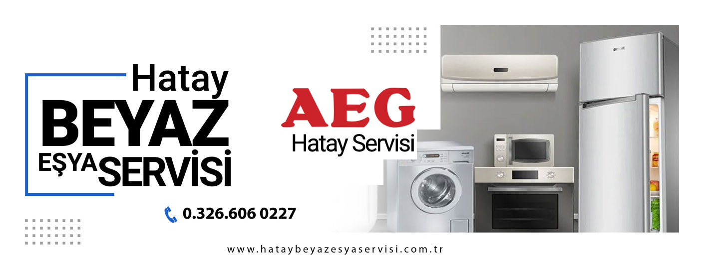 Hassa Aeg Buzdolabı Servisi